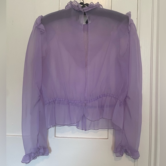 Sheer vintage blouse with embroidered details. The back has two clasp closures. - Picture 2 of 6